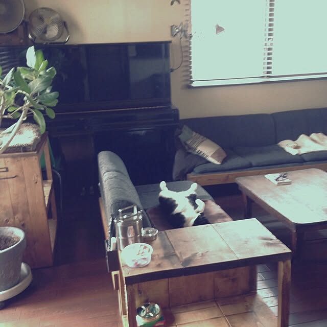 jnkaiさんの実例写真