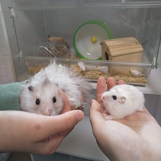 yukieさんの実例写真