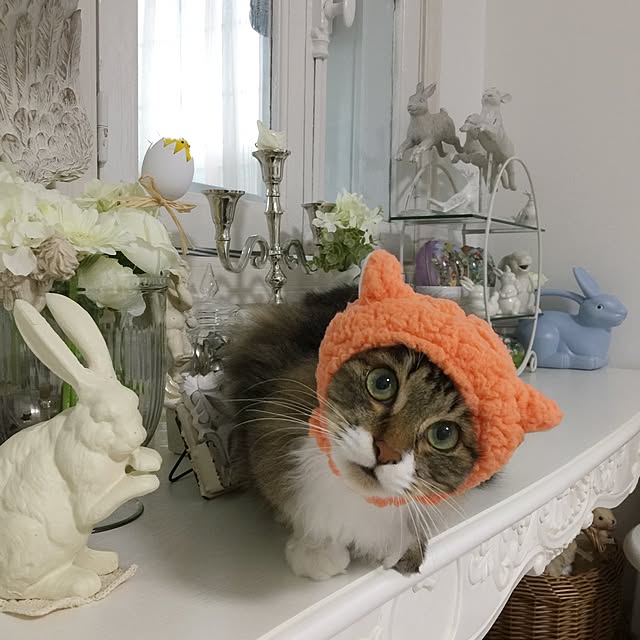 yuchiさんの実例写真