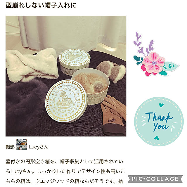 Lucyさんの実例写真
