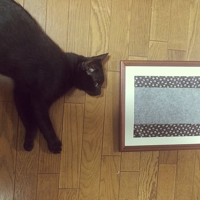 miyuさんの実例写真
