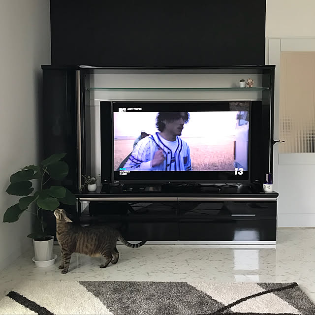 mikipoohさんの実例写真