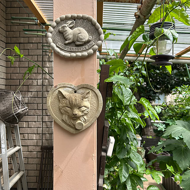 botanさんの部屋