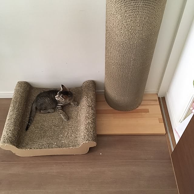 mikomaruさんの実例写真
