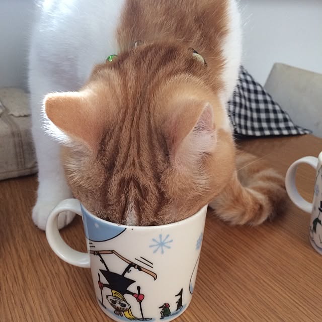 Michikoさんの実例写真