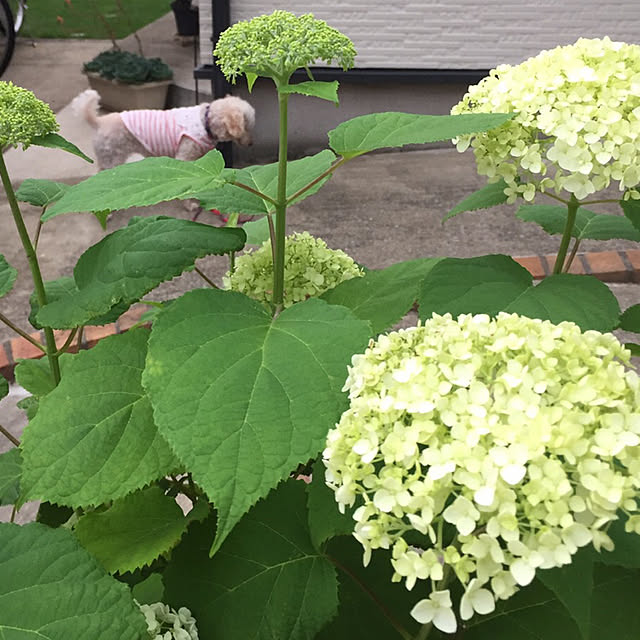 Junran50さんの実例写真