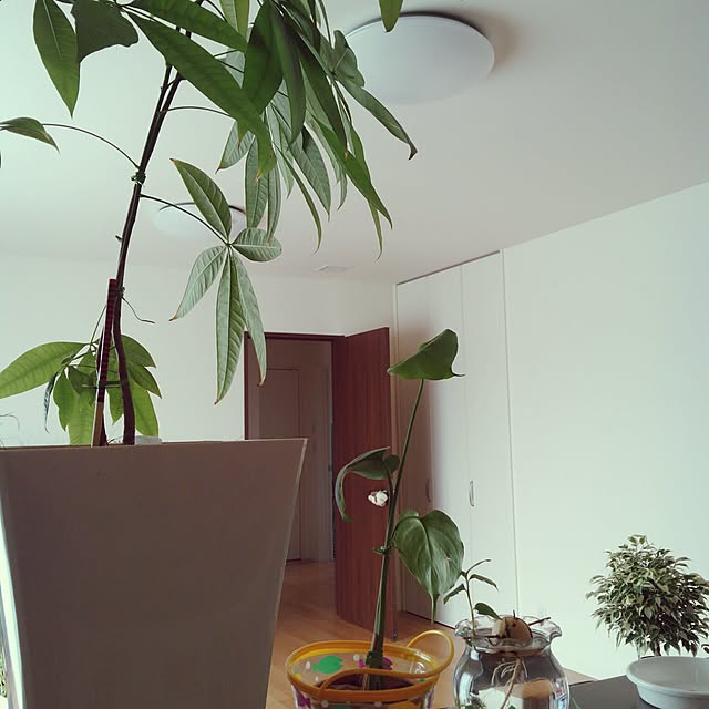 Kimikoさんの実例写真