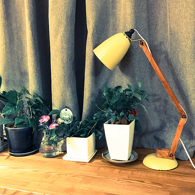 棚/照明/maclamp/アンティークのインテリア実例 - 2017-07-25 23:09:33