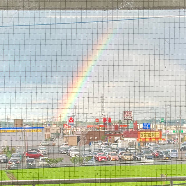 実例写真