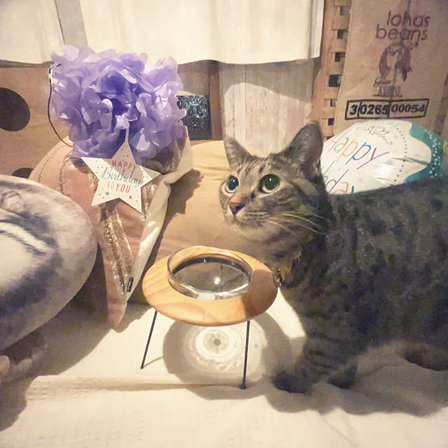 Mさんの実例写真