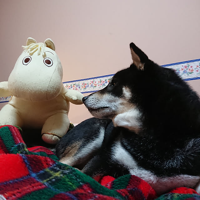 tsutawarimasuさんの実例写真