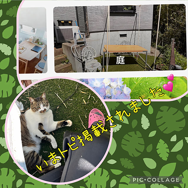 jijiさんの実例写真