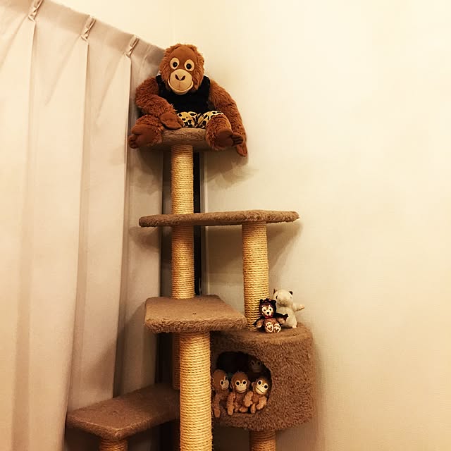 dodoさんの実例写真