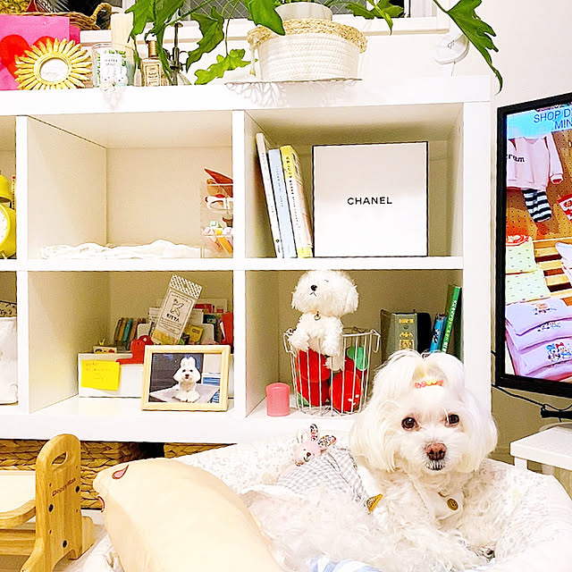 kurin_roomさんの実例写真