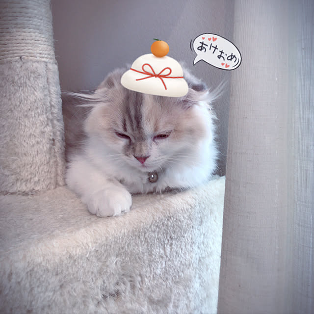 mariaさんの実例写真