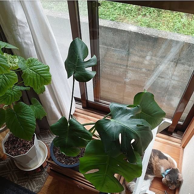 fukuさんの部屋