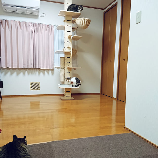 nachiさんの実例写真