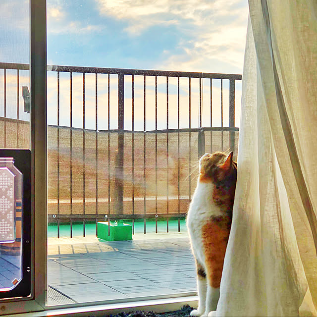 Chihiroさんの実例写真