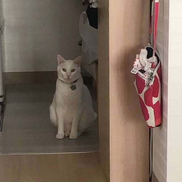 moyuhiさんの実例写真