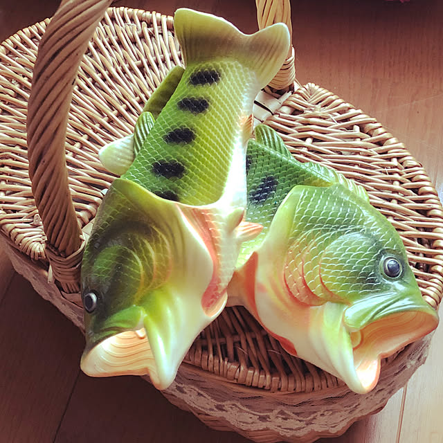 kotaさんの実例写真