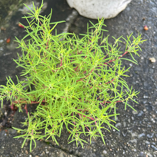 fumikoiさんの部屋