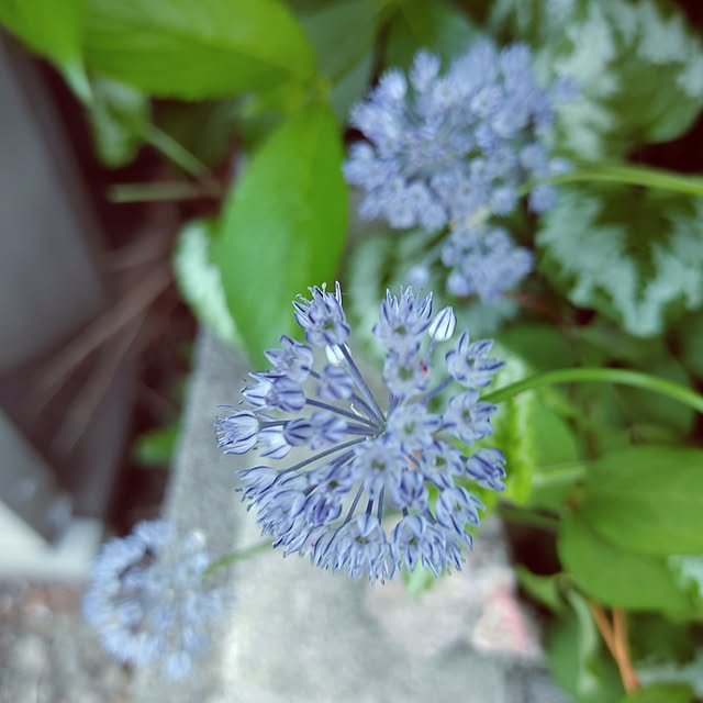 kiraさんの実例写真