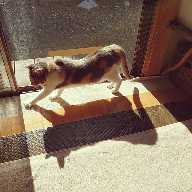 fukuさんの実例写真