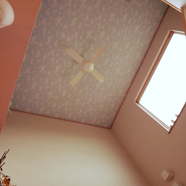 壁/天井のインテリア実例 - 2019-04-11 17:35:57