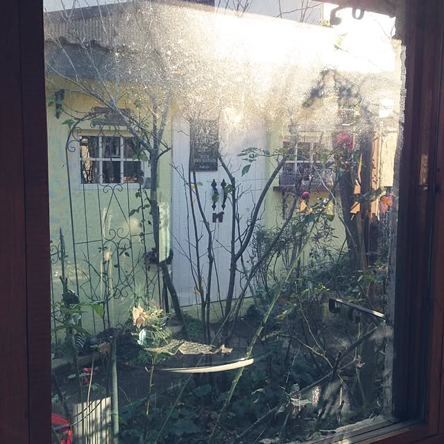 popoさんの実例写真