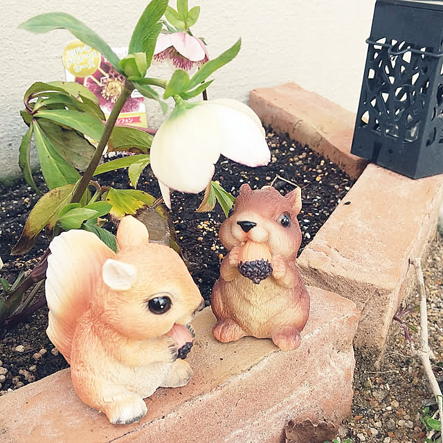 clover2018さんの実例写真