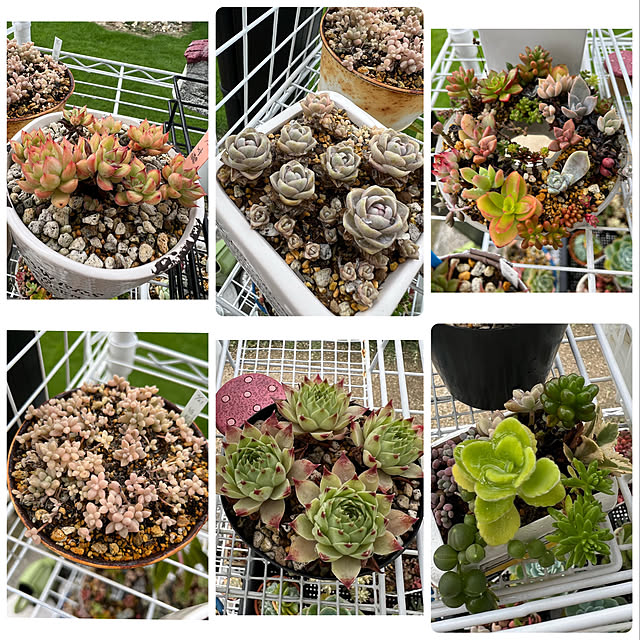 melmelさんの実例写真