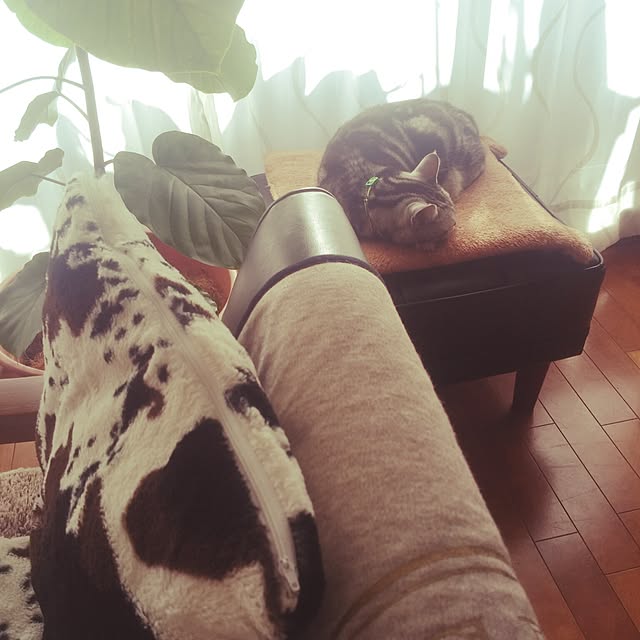 yumi0714さんの実例写真
