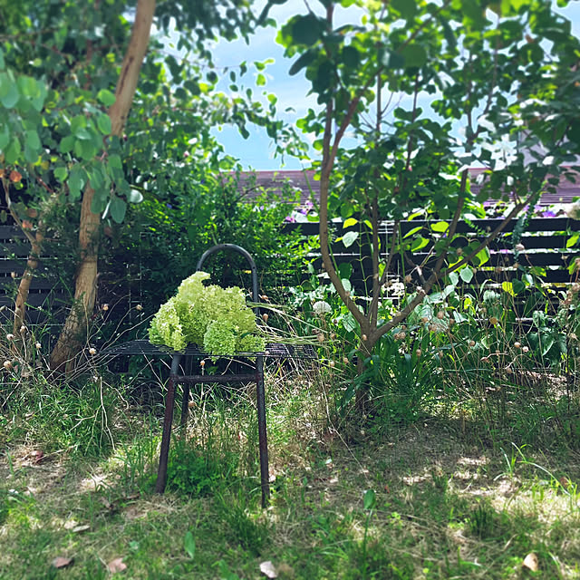 oa.mさんの実例写真
