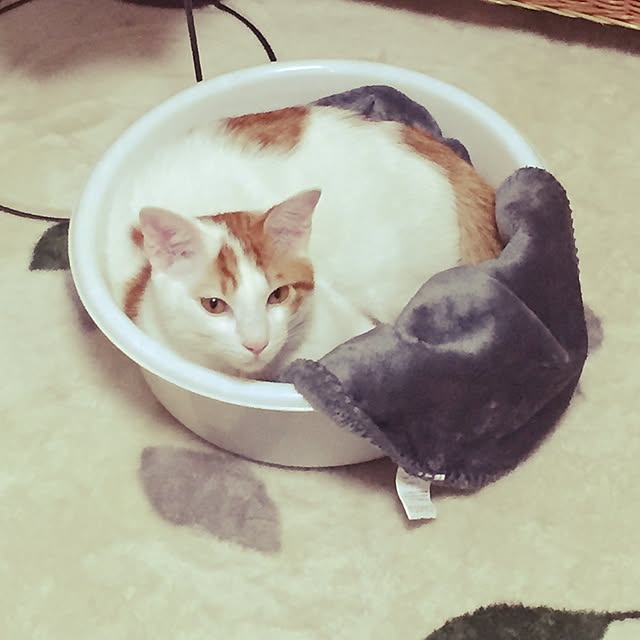 emiさんの実例写真