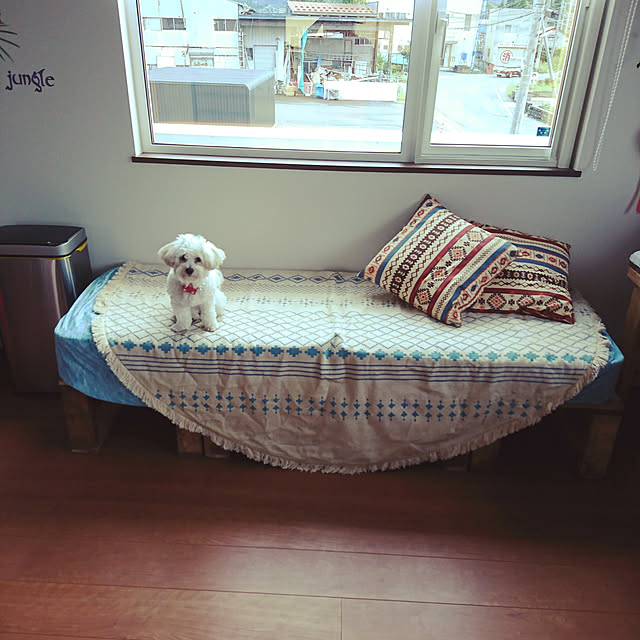 nununu_houseさんの実例写真