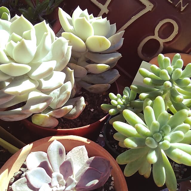 VERANDARJUNさんの実例写真