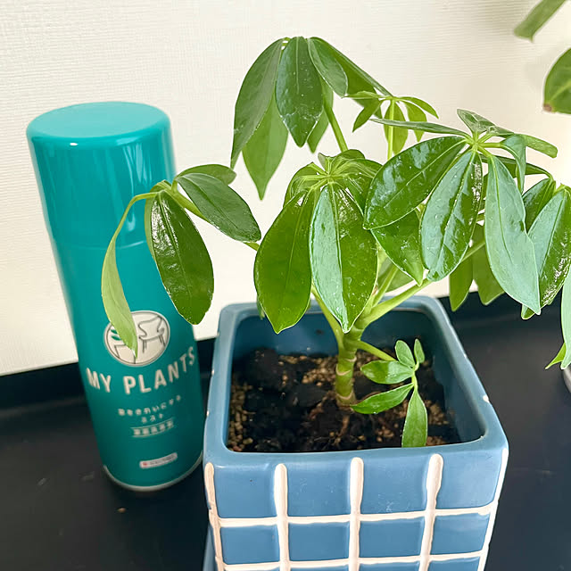 shidakaさんの部屋