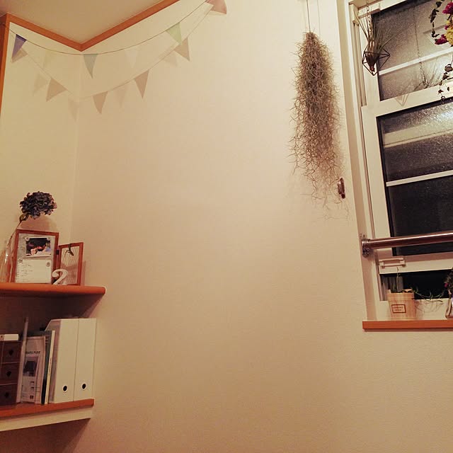 Petanさんの実例写真