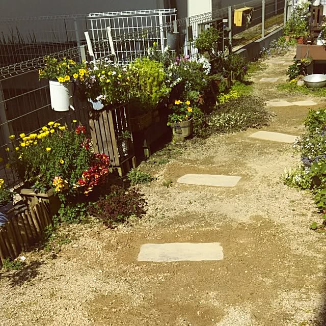 hi-yaさんの実例写真
