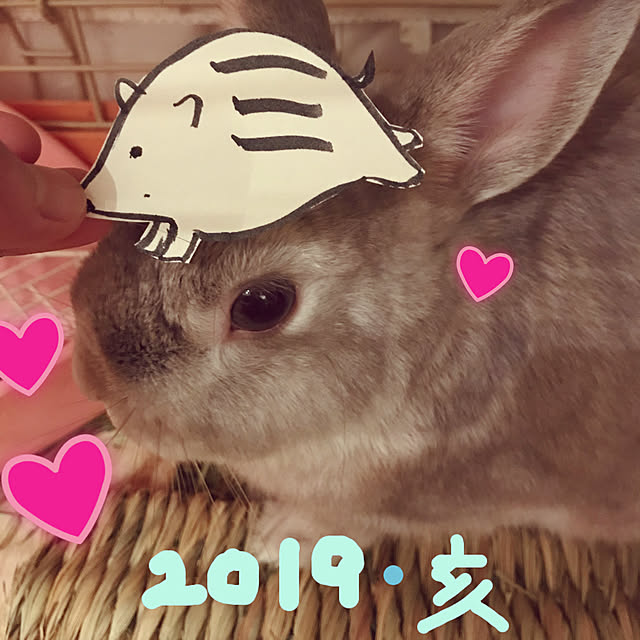 Satokoさんの実例写真