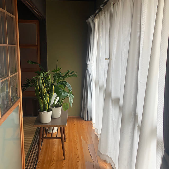 conatuさんの実例写真