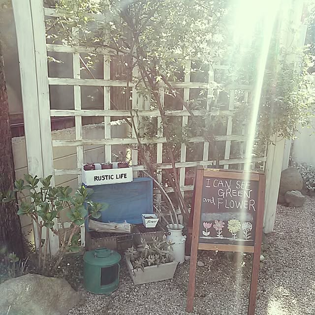 takanaさんの実例写真