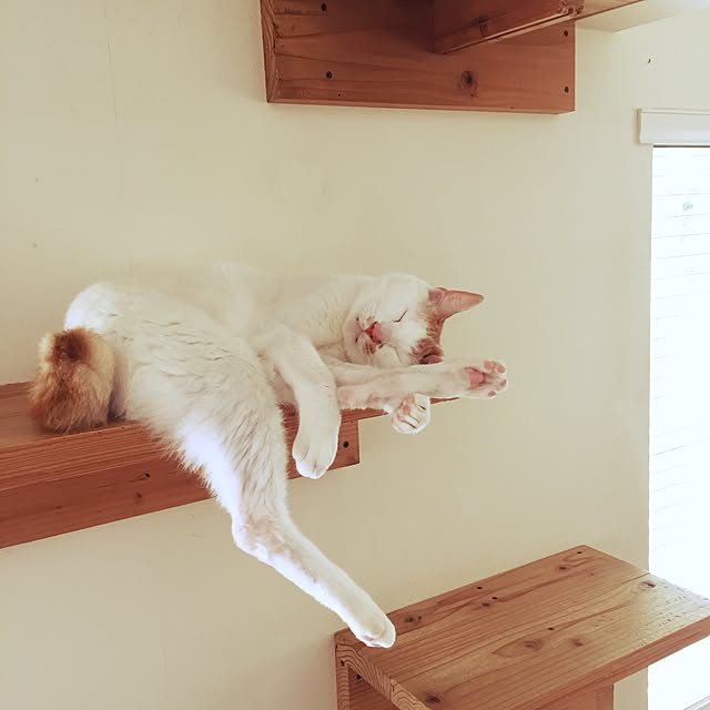 kazuminさんの実例写真