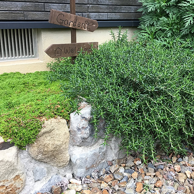 yoshiさんの実例写真