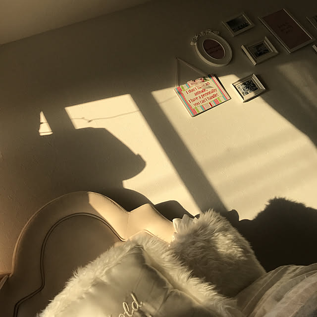Ayakiさんの実例写真