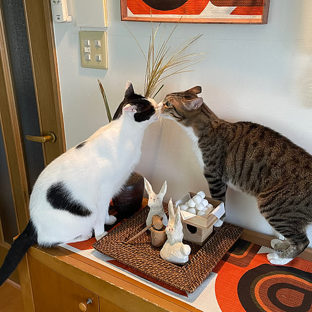 nobikoさんの部屋