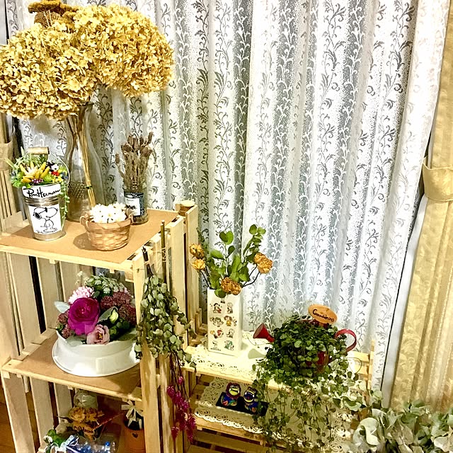 goopy-j-yukahonさんの実例写真