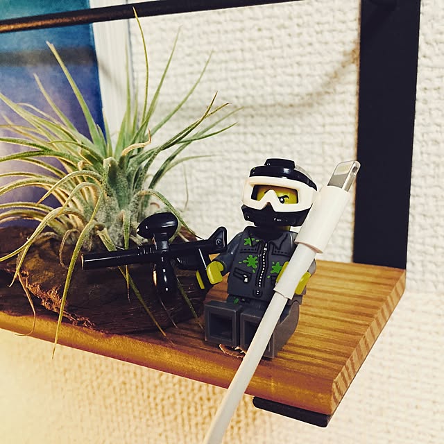 Kluvsさんの実例写真