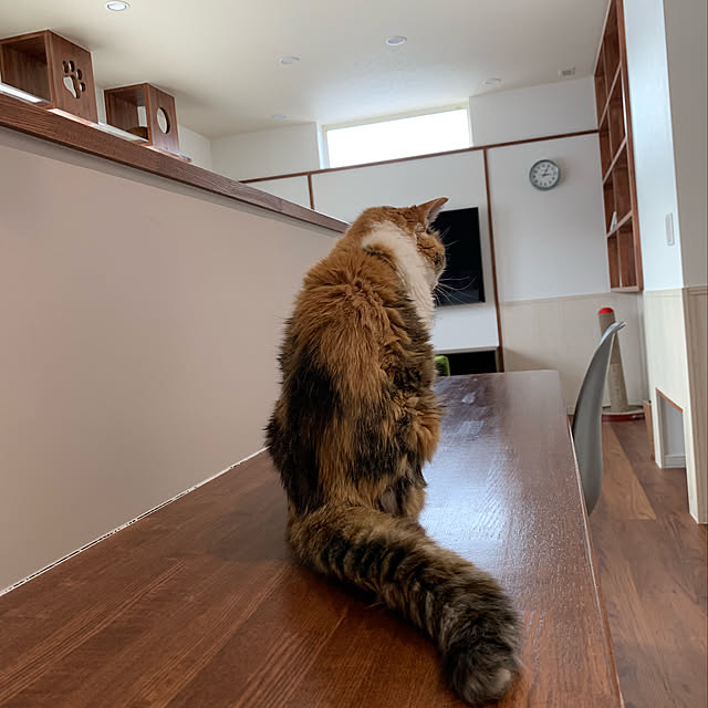 mikeume7さんの実例写真