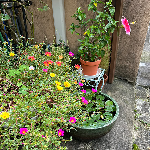 fumikoiさんの部屋